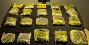 Malatya’da gerçekleştirilen operasyonda peynir bidonlarına gizlenmiş 12 kilo 700 gram