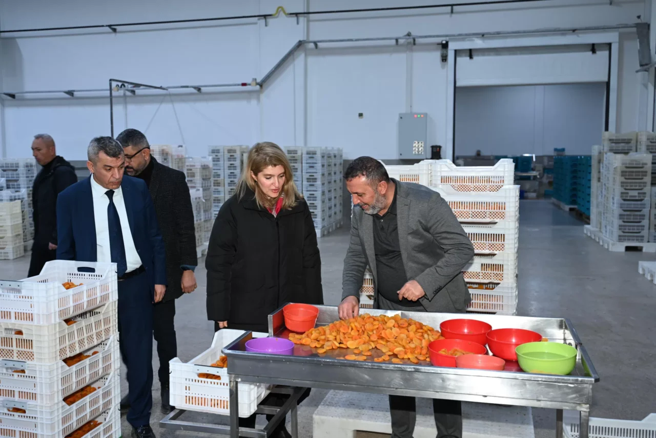 AK Parti Malatya Milletvekili İnanç Siraç Kara Ölmeztoprak, Malatya Organize