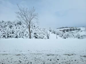 Malatya'da dün akşam saatlerinden itibaren kar yağışı başladı.