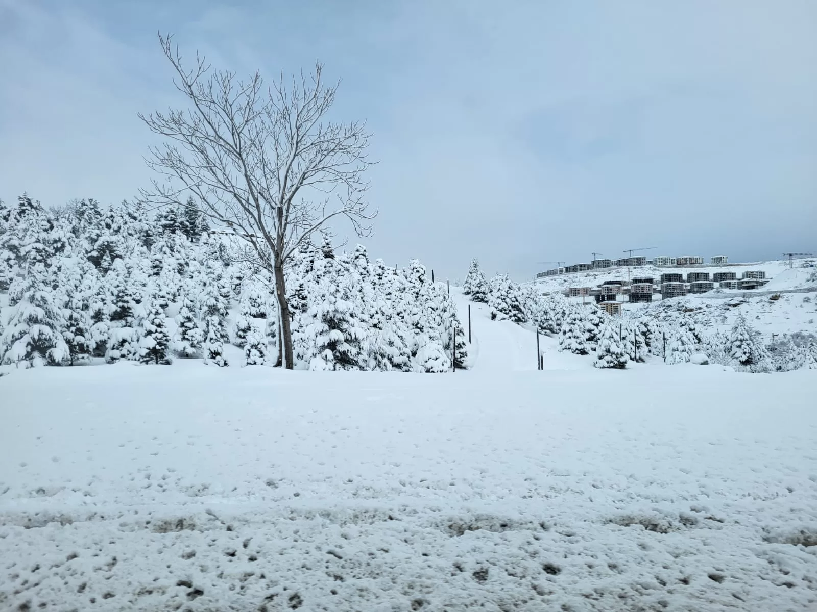 Malatya'da dün akşam saatlerinden itibaren kar yağışı başladı.