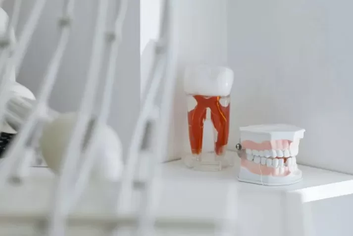 Aile Hekimlerinin ardından, Ağız ve Diş Sağlığı Merkezleri (ADSM), Ağız