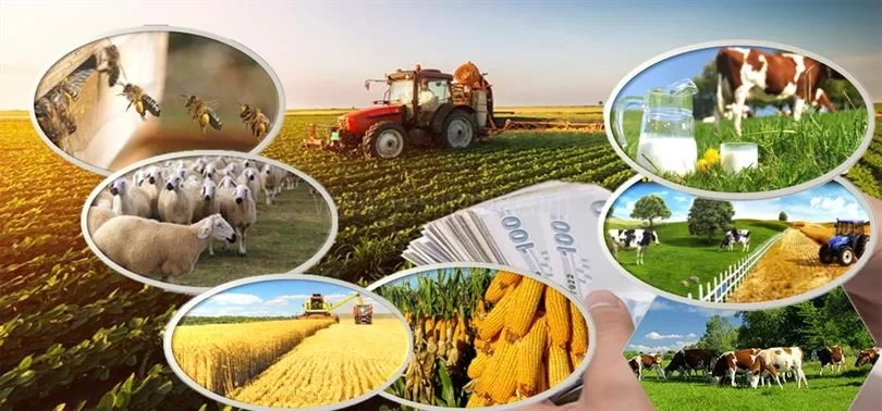 Türkiye’de tarım ürünlerinin güvenli depolanması ve ticaretinin modernizasyonu amacıyla yürütülen