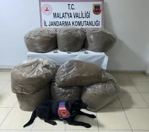 Ülke genelinde kaçak ve sahte alkole bağlı yaşanan ölümler nedeniyle