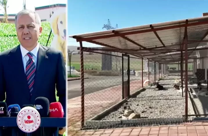 Bakan Yerlikaya: Belediyeler Sahipsiz Hayvanlar Konusunda Denetlenecek İçişleri Bakanı Ali Yerlikaya, Batman’da sahipsiz hayvanlar ve bakımevleriyle ilgili