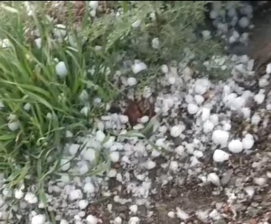 Malatya’nın Arapgir ilçesinde sağanak yağış ve dolu etkili oldu. Yaklaşık