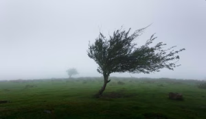 Meteoroloji 13. Bölge Müdürlüğü, Malatya‘nın merkez ve güney kesimleri için