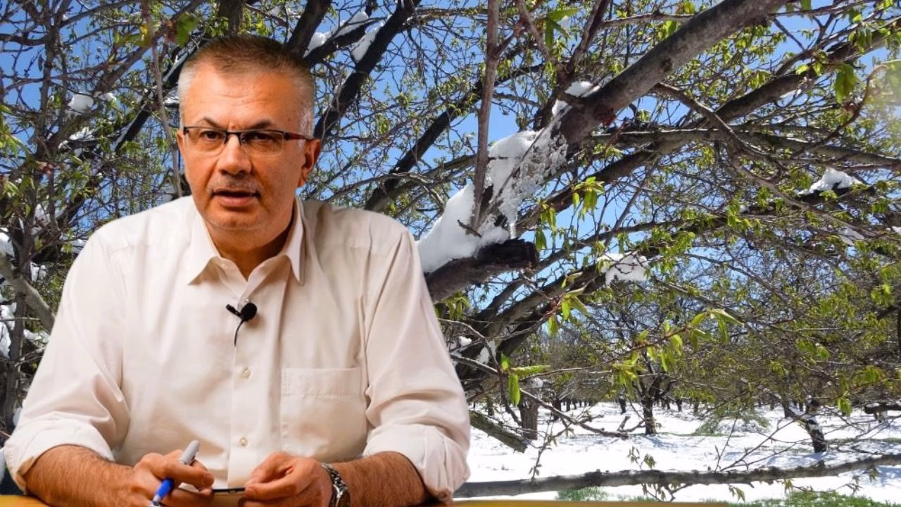 Malatya’da yaşanan zirai don, kayısı başta olmak üzere birçok ürüne