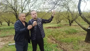 Başkan Karademir: “Dolu, kayısı ağaçlarına zarar verdi; çiftçilerin umudu kalmadı.”