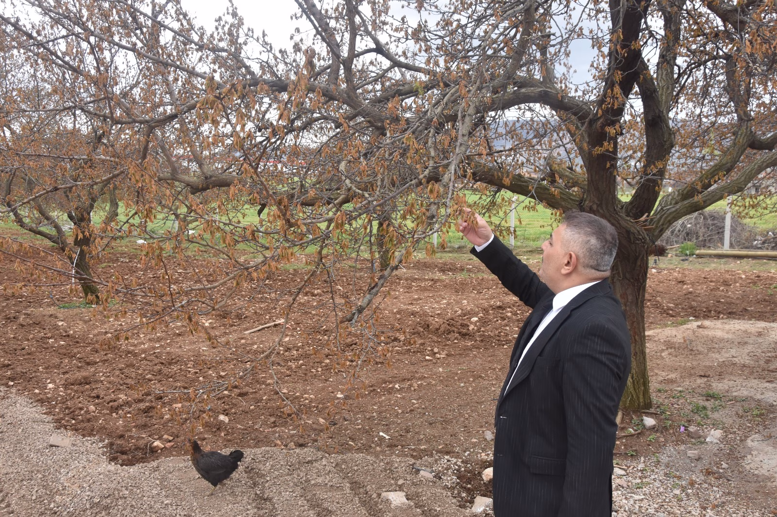 Binlerce Esnaf İflas Edecek İşsizlik Artacak Sadıkoğlu: “Verilecek destekler sadece kayısıyı değil, şehrimizin geleceğini ilgilendiriyor”