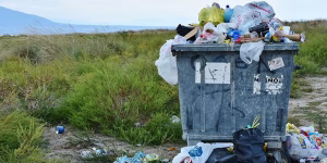 Plastik Kullanımının İnsan ve Doğa Üzerindeki Zararları Plastik, modern yaşamımızda