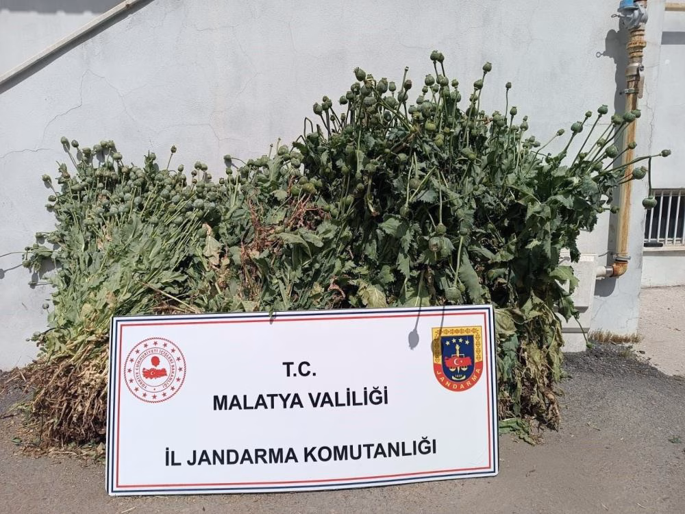 Malatya’da Jandarmadan Uyuşturucuya Darbe: 6 Operasyonda Büyük Miktarda Madde Ele