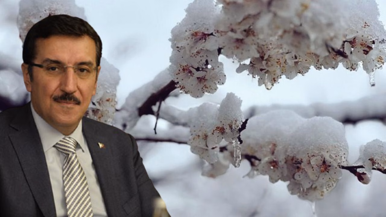Türkiye Büyük Millet Meclisi (TBMM), zirai don olayının tarımsal üretim