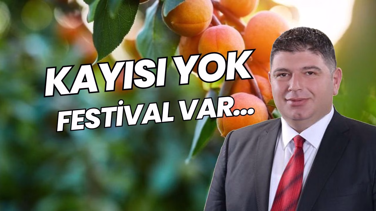 Malatya’da bu yıl kayısı üretimini olumsuz etkileyen don olaylarına rağmen,