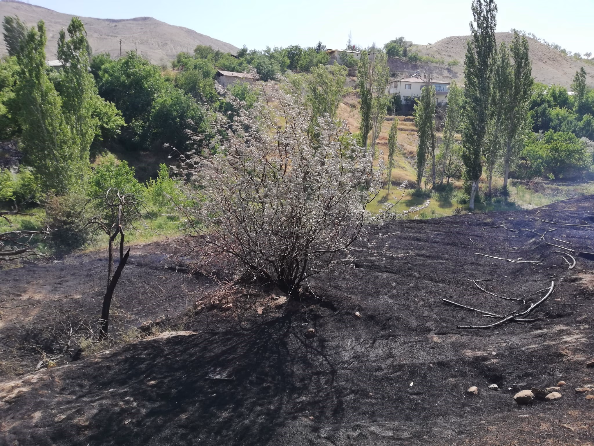 Malatya’nın Darende ilçesinde çıkan ot yangını, itfaiye ekiplerinin müdahalesiyle kontrol