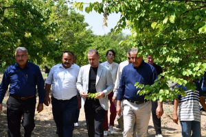 Karademir’den Kayısı İçin Acil Destek Çağrısı: “Çiftçimizin Elinde Bir şey