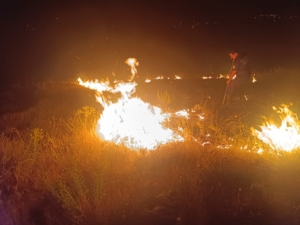 Malatya Darende’de Otluk Alanda Yangın Paniği! İtfaiye Ekipleri Müdahale Etti