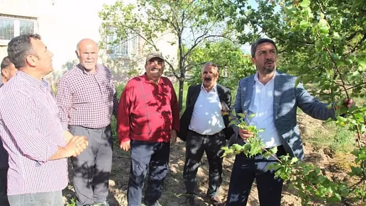 Enver Kiraz’dan Kayısı Üreticisi İçin Acil Destek Çağrısı“Malatya çiftçisi çaresiz,