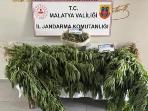 Malatya Yeşilyurt’ta Uyuşturucu Operasyonu: 1 Kişi Gözaltında, 1200 Gram Esrar
