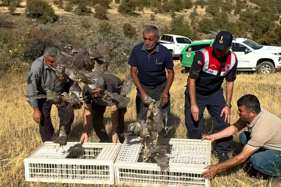 Malatya’da doğal yaşamı desteklemek ve ekolojik dengeyi korumak amacıyla 100