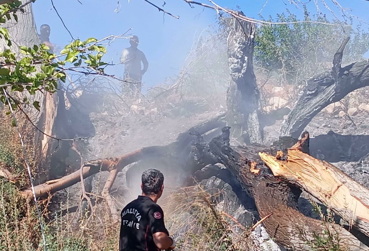 Malatya’nın Kuluncak ilçesine bağlı İlisuluk Mahallesi’nde, orta gerilim hattının yüksek