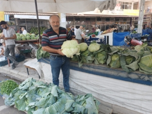 İnce yaprakları ve kendine has lezzetiyle bilinen Gökyar lahanası, Darende