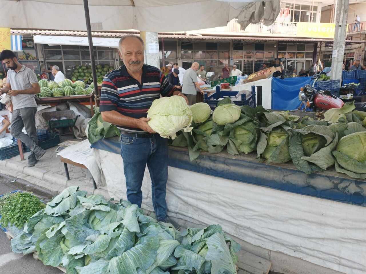 İnce yaprakları ve kendine has lezzetiyle bilinen Gökyar lahanası, Darende