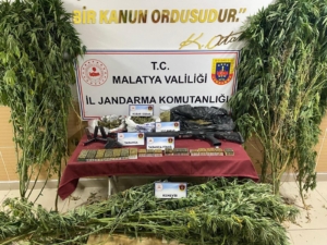 Yeşilyurt’ta Uyuşturucu Operasyonu: 550 Gram Esrar ve 32 Kök Kenevir