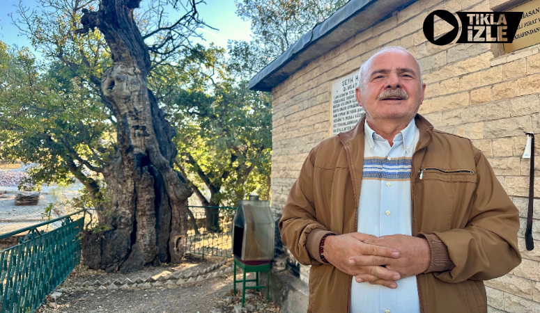  Malatya'nın tarihi dokusuyla ünlü Arapgir ilçesine bağlı sit alanı