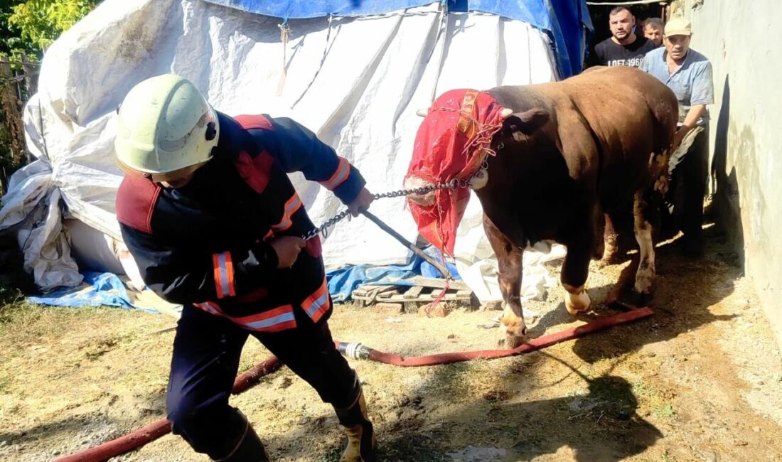Malatya'nın Battalgazi ilçesine bağlı Orduzu Mahallesi'nde çıkan ahır yangını,