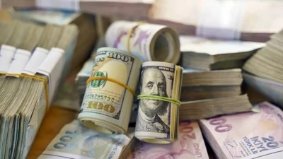ING Global, gıda fiyatları, olumsuz hava koşulları ve eğitim sezonuna