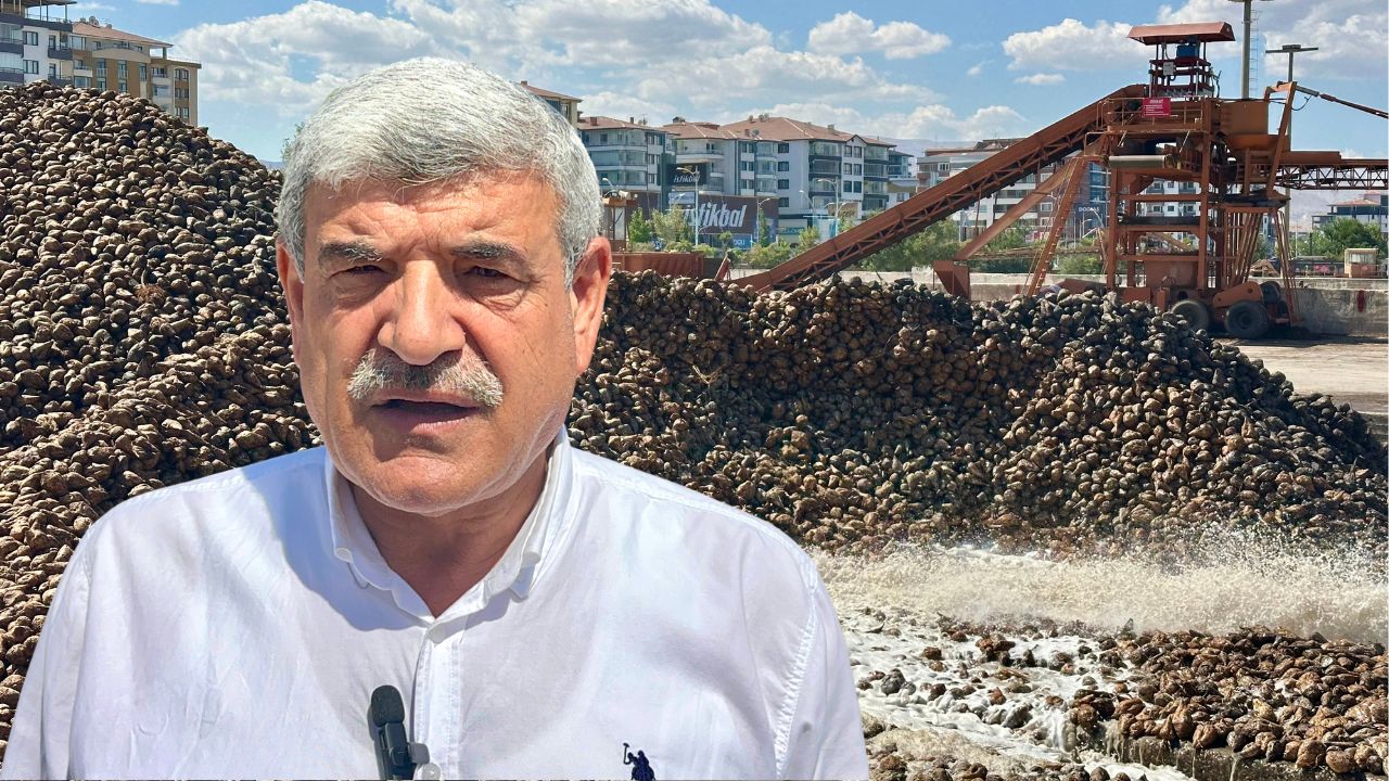 Malatyalı Çiftçilere Pancar Bereketi: Don Zararı Sonrası Moral Kaynağı Malatya’da