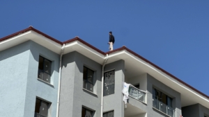 Malatya’nın İlyas Mahallesi Turgut Temelli Caddesi üzerinde bulunan TOKİ rezerv