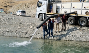 Malatya’da Su Kaynaklarına 1 Milyon 73 Bin Yavru Sazan Bırakıldı