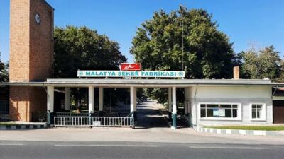 Türkiye Şeker Fabrikaları A.Ş. (TÜRKŞEKER), 2025-2026 üretim yılı şeker pancarı