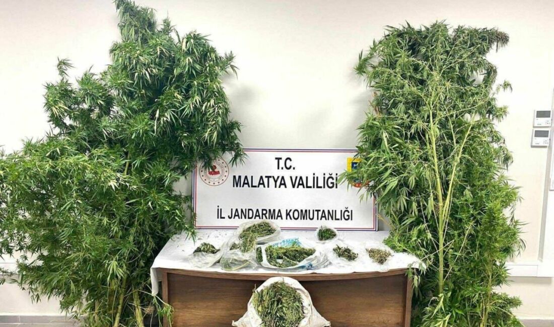 Malatya İl Jandarma ve Narkotik ekiplerinin operasyonlarında çok miktarda uyuşturucu