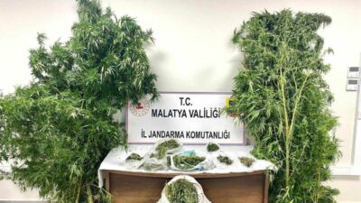Malatya İl Jandarma ve Narkotik ekiplerinin operasyonlarında çok miktarda uyuşturucu