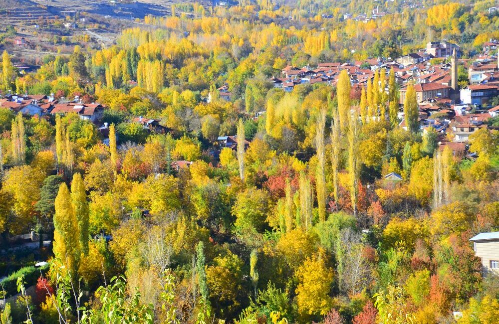 Malatya merkeze yakın konumuyla dikkat çeken Gündüzbey, doğal güzellikleri, yeşil
