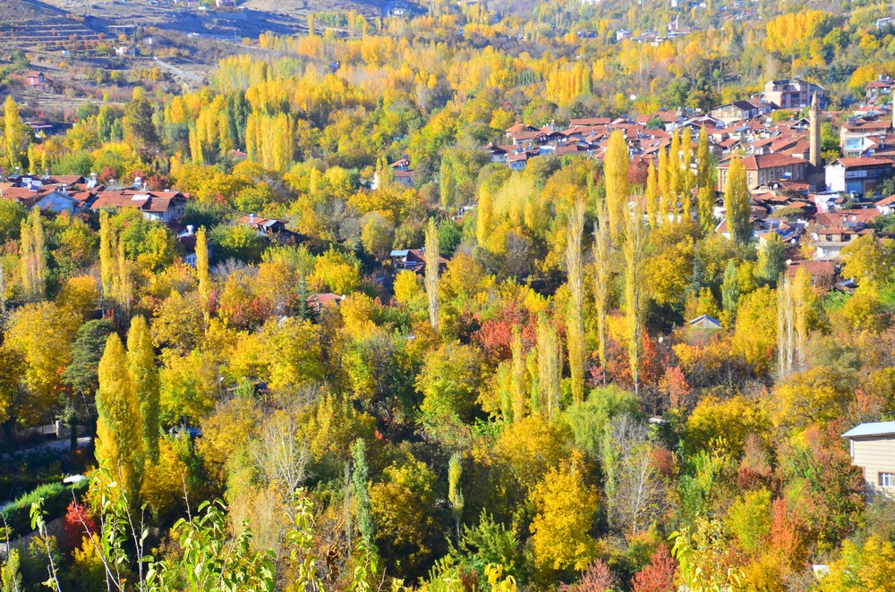Malatya merkeze yakın konumuyla dikkat çeken Gündüzbey, doğal güzellikleri, yeşil