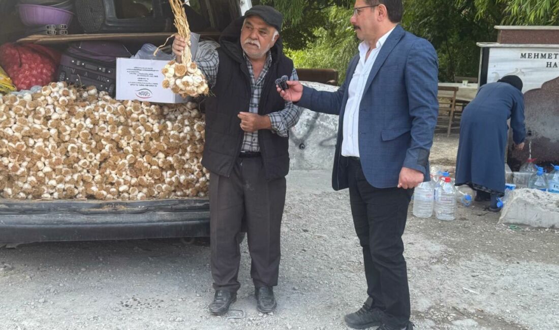Malatyalı Mehmet Gündoğdu, Kastamonu'dan getirdiği meşhur Taşköprü sarımsağını Darende D-300
