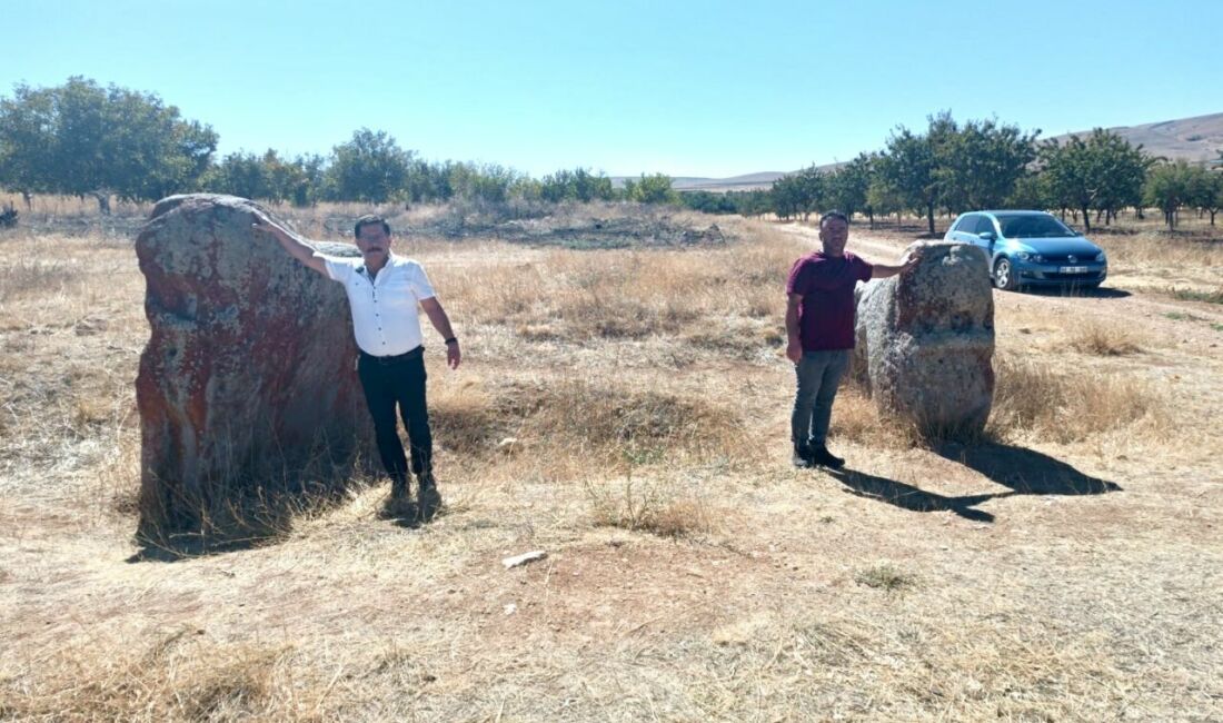 Darende Yeniköy Mahallesi'nde bulunan ve 'ovanın sessiz bekçileri' olarak anılan