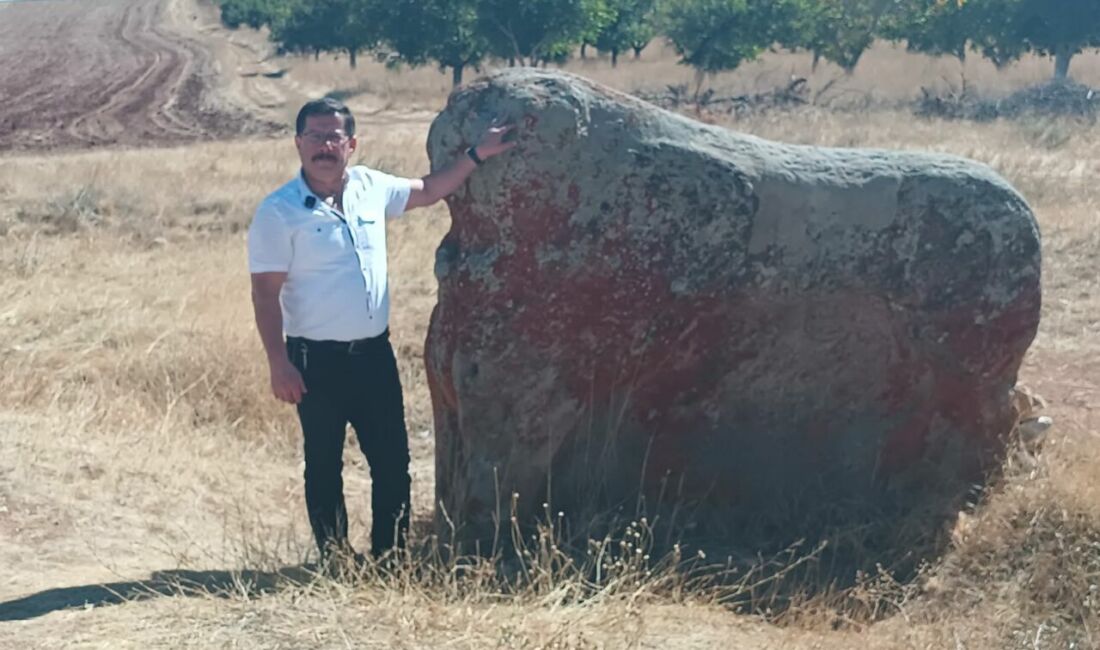 Hititlerden kalma tarihi eserler, otlar arasında unutulmaya bırakıldı. Eserlere giden