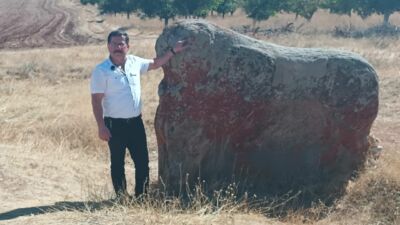 Hititlerden kalma tarihi eserler, otlar arasında unutulmaya bırakıldı. Eserlere giden