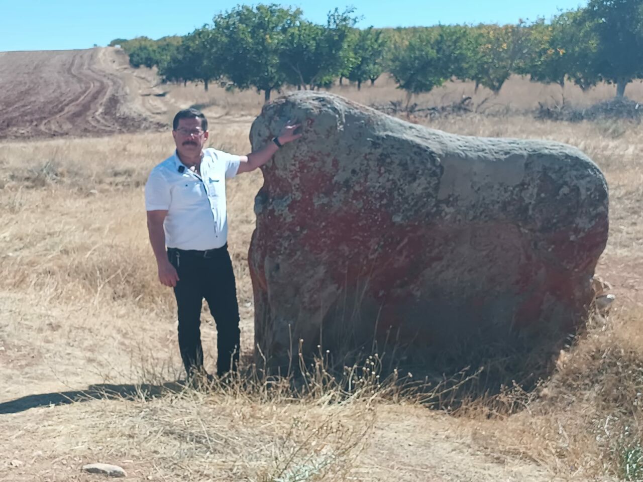 Hititlerden kalma tarihi eserler, otlar arasında unutulmaya bırakıldı. Eserlere giden