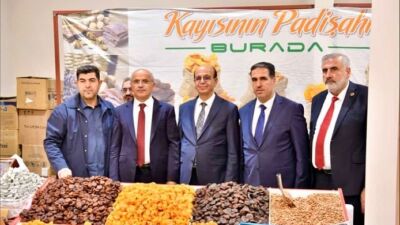 İstanbul'da Atatürk Havalimanı Millet Bahçesi'nde düzenlenen 7. Malatya Tanıtım Günleri'nde,