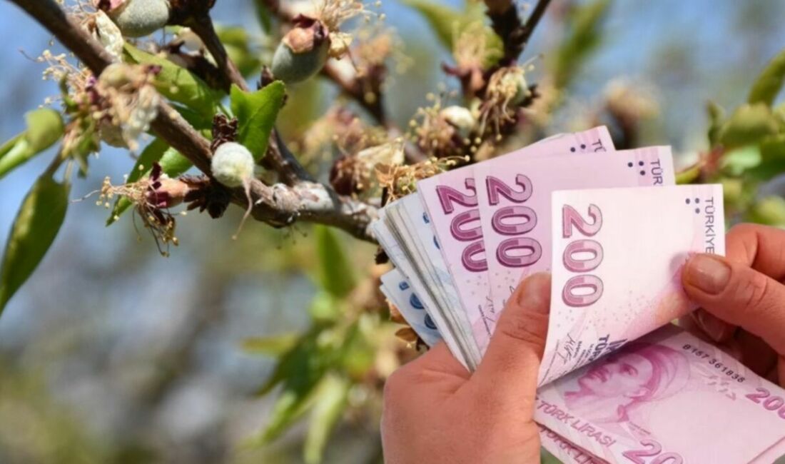 Geçtiğimiz Nisan ayındaki zirai donda büyük zarar gören Malatya kayısı