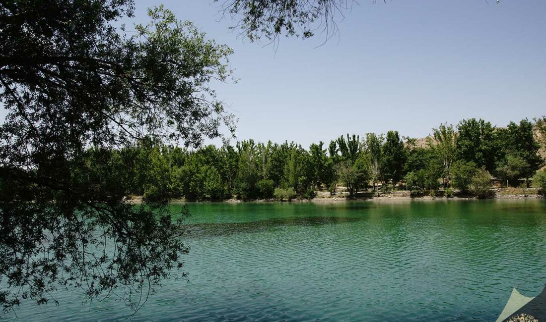 Malatya Battalgazi ilçesindeki Orduzu Turgut Özal Tabiat Parkı göletinde bir