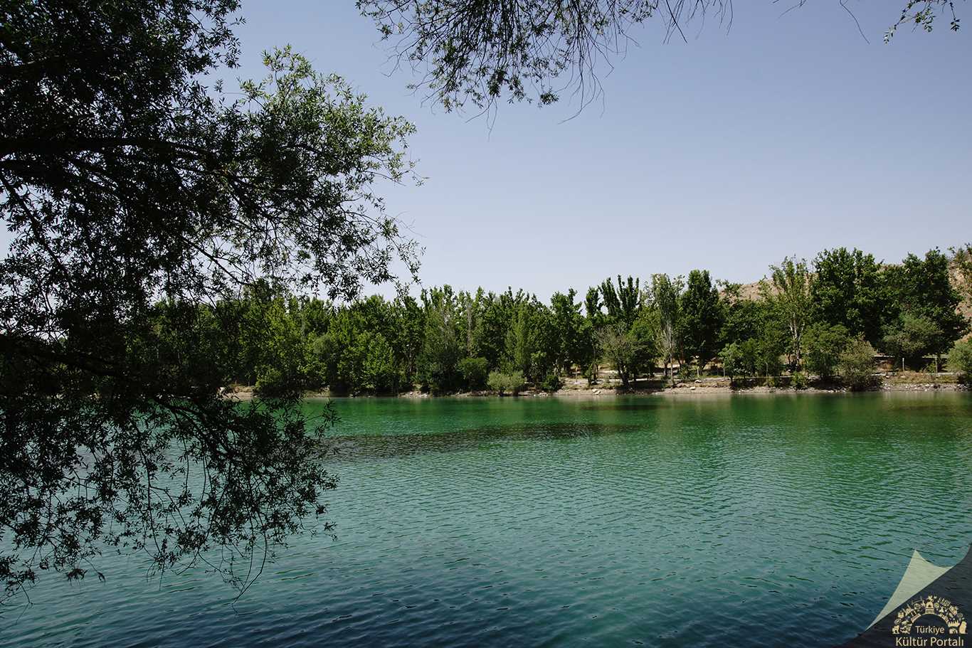 Malatya Battalgazi ilçesindeki Orduzu Turgut Özal Tabiat Parkı göletinde bir