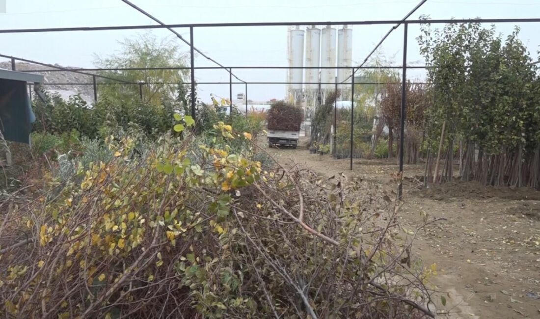 Fidancılar Kooperatifi Başkanı Abuzer Yumrutepe, Malatya’daki olumsuz hava koşulları ve