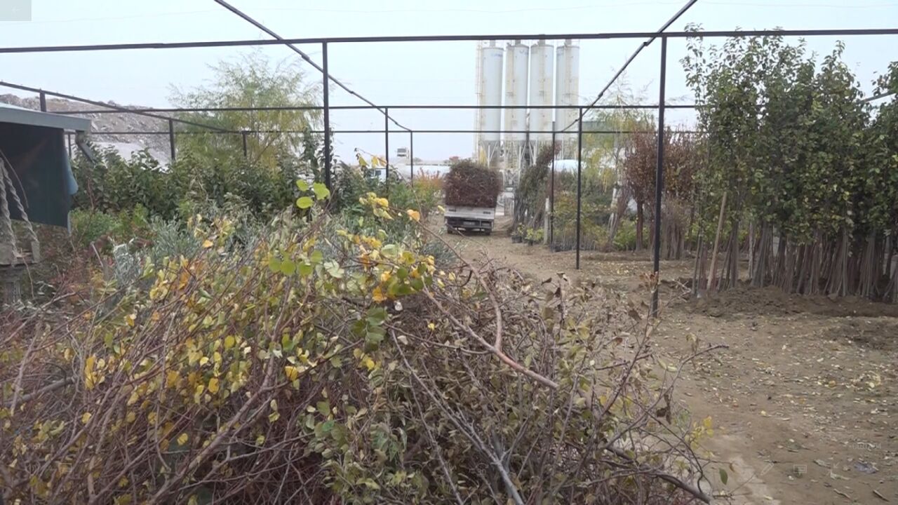 Fidancılar Kooperatifi Başkanı Abuzer Yumrutepe, Malatya’daki olumsuz hava koşulları ve