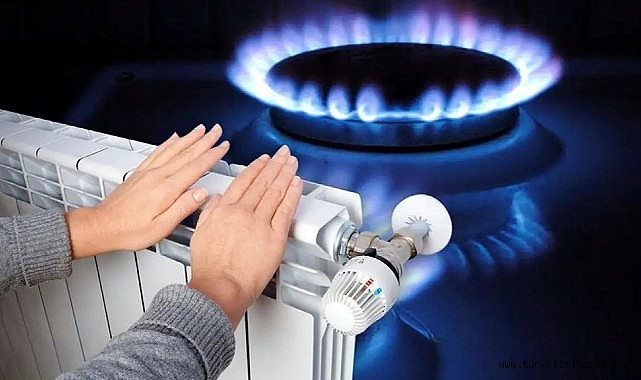 Enerji Piyasası Düzenleme Kurumu (EPDK), Doğal Gaz Piyasası Dağıtım ve
